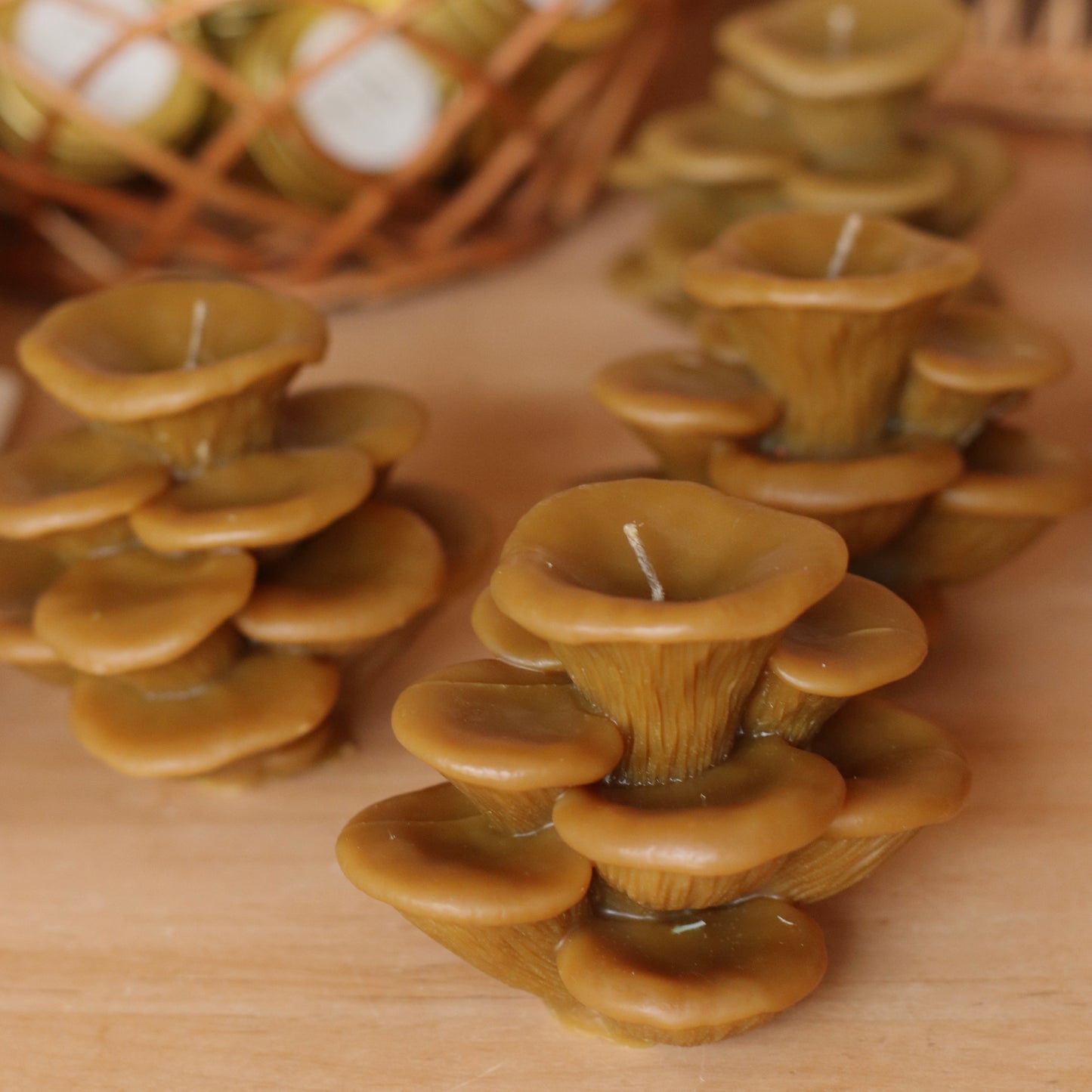 The Wax Pantry | Oyster Mushrooms Beeswax Candle