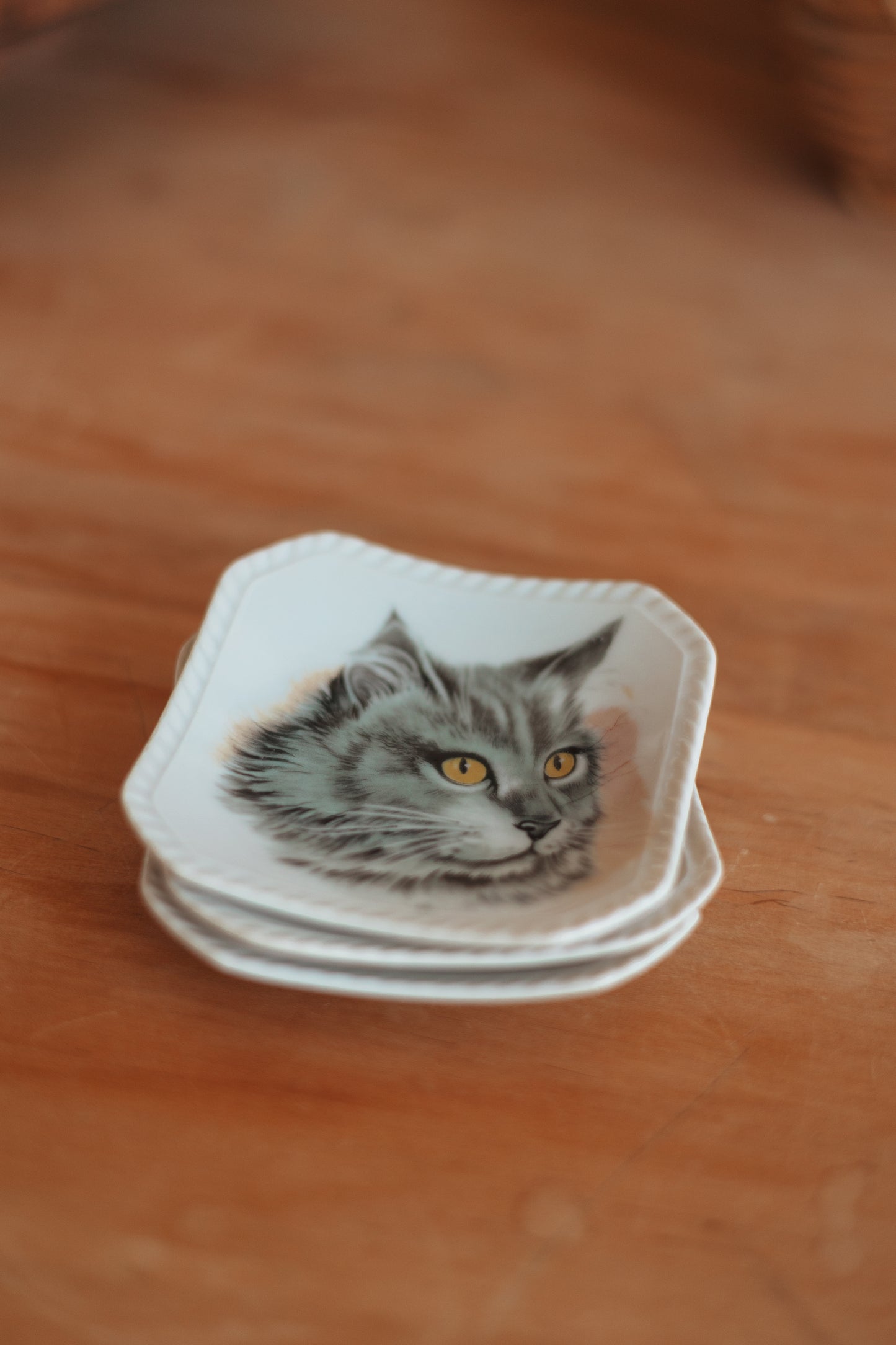 Cat Portrait Trinket Dish, assorted