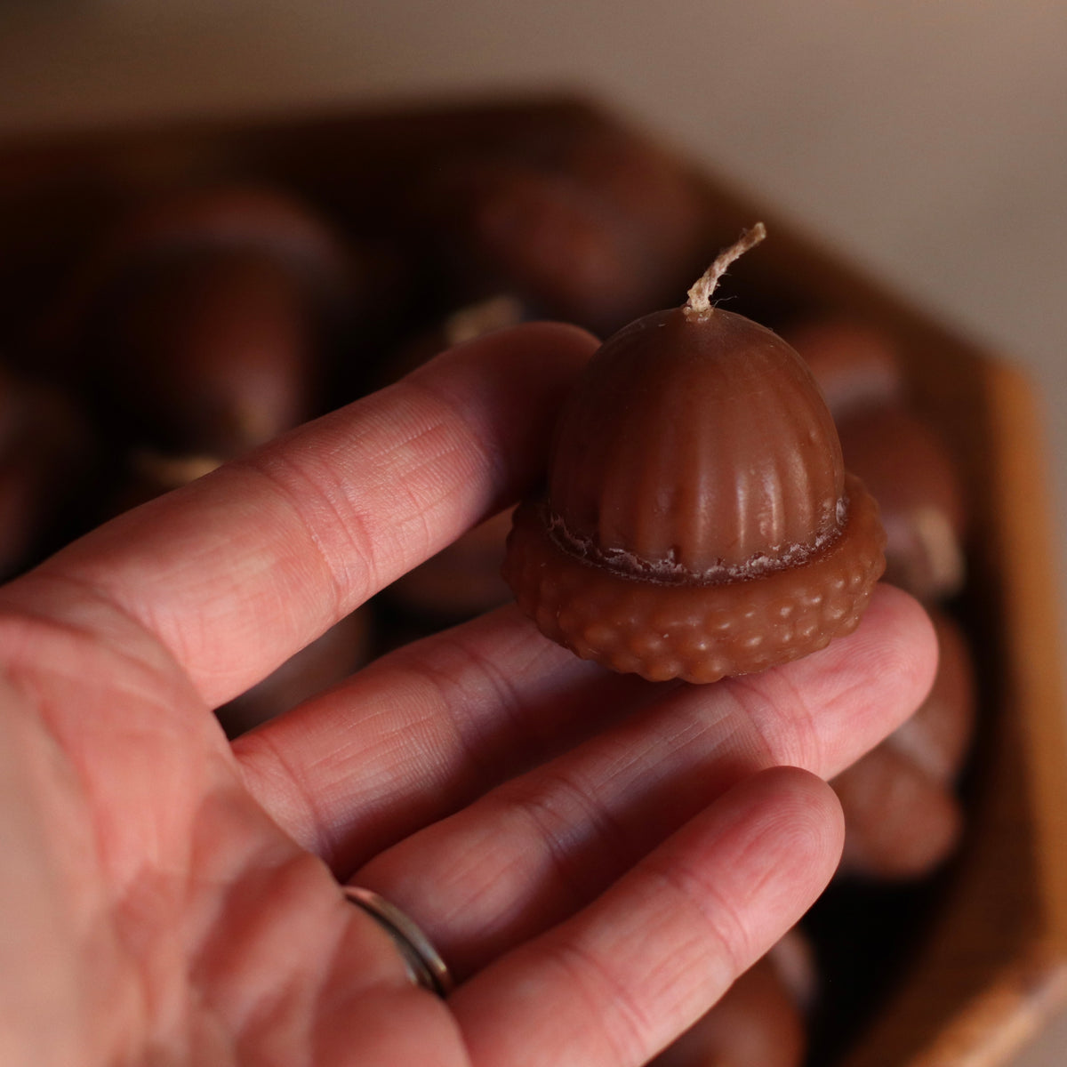 The Wax Pantry | Acorn