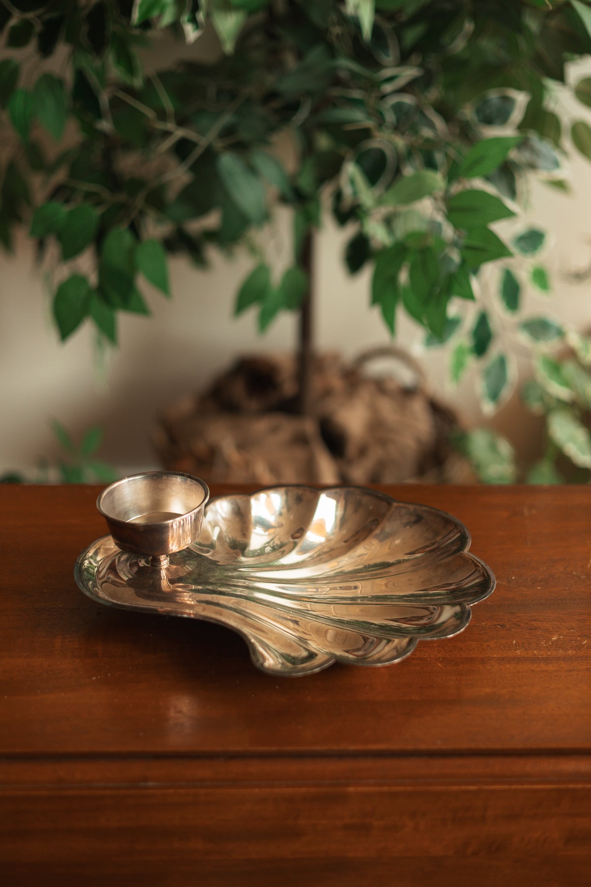 Clamshell Appetizer and Condiment Server