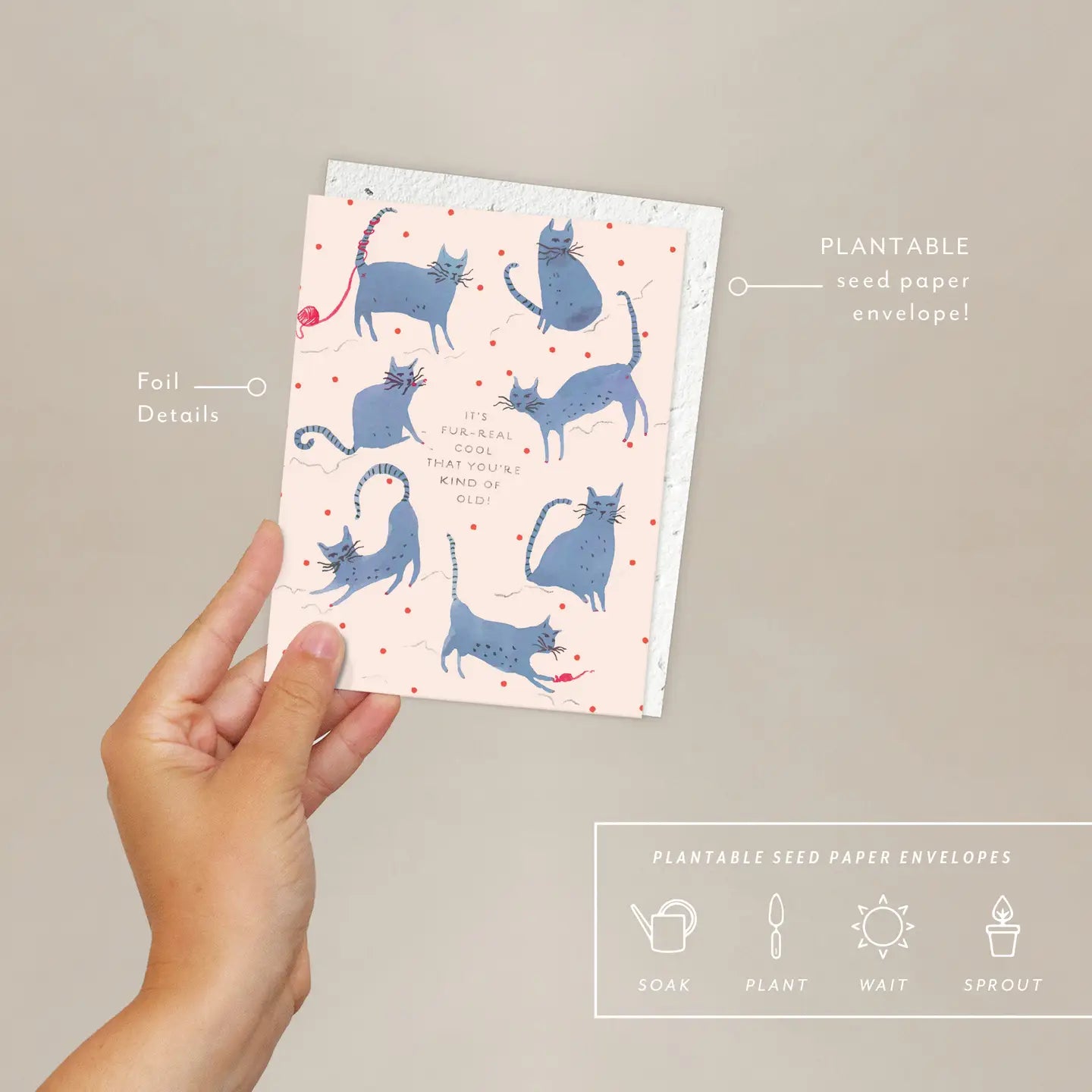 Seedlings | I think it’s Fur- real cool that youre kind of old