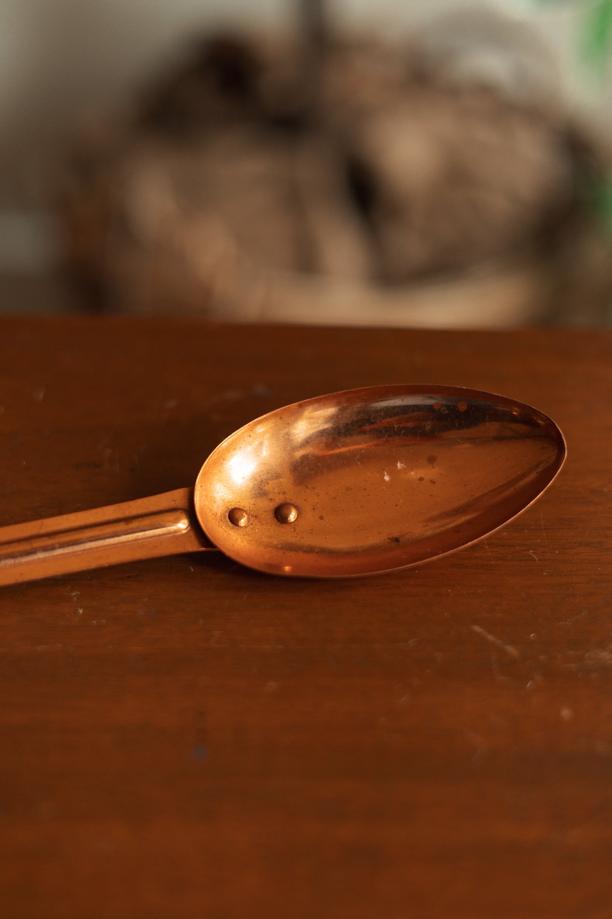 Long Copper Spoon