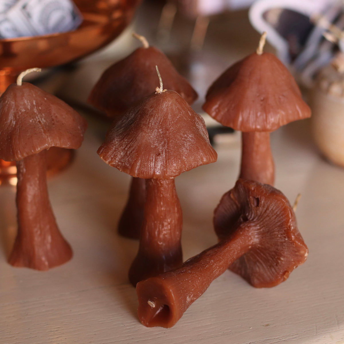 The Wax Pantry | Parasol Mushroom