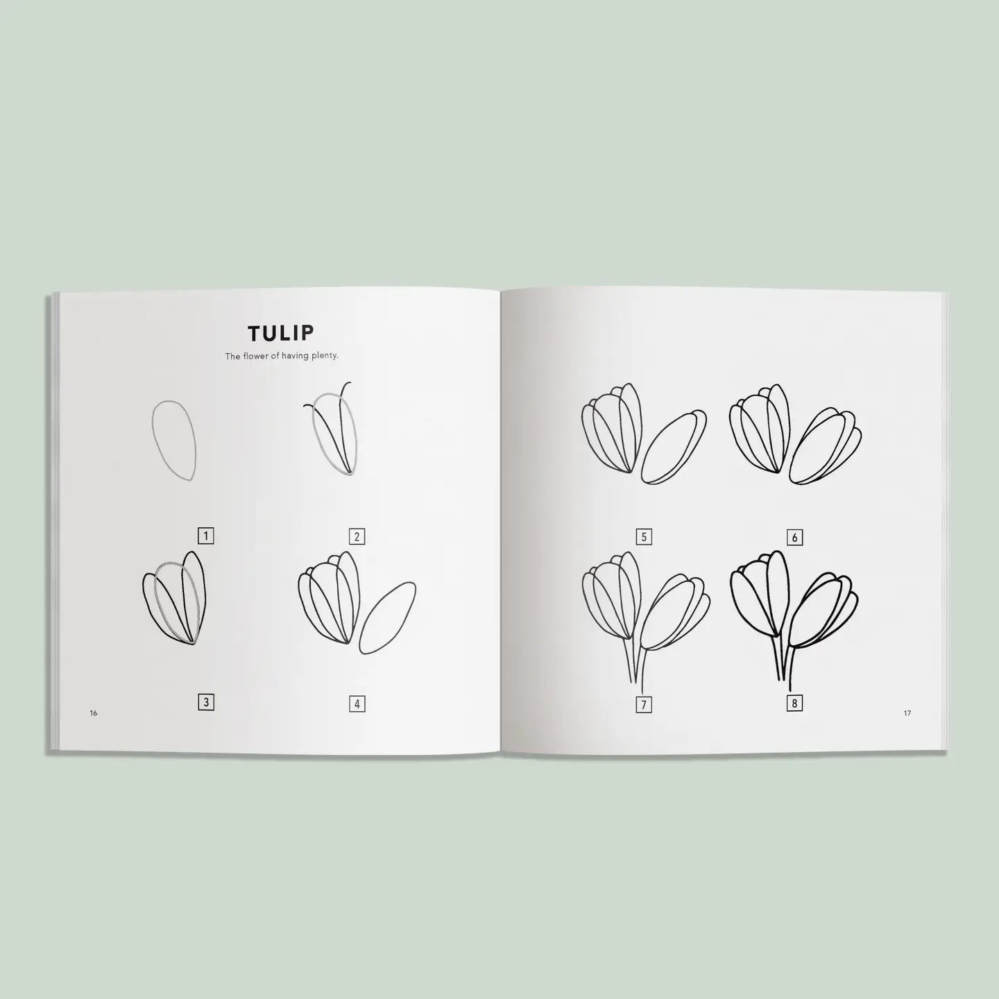 Page & Tate Co. | Spring Things, How to Draw Books for Kids