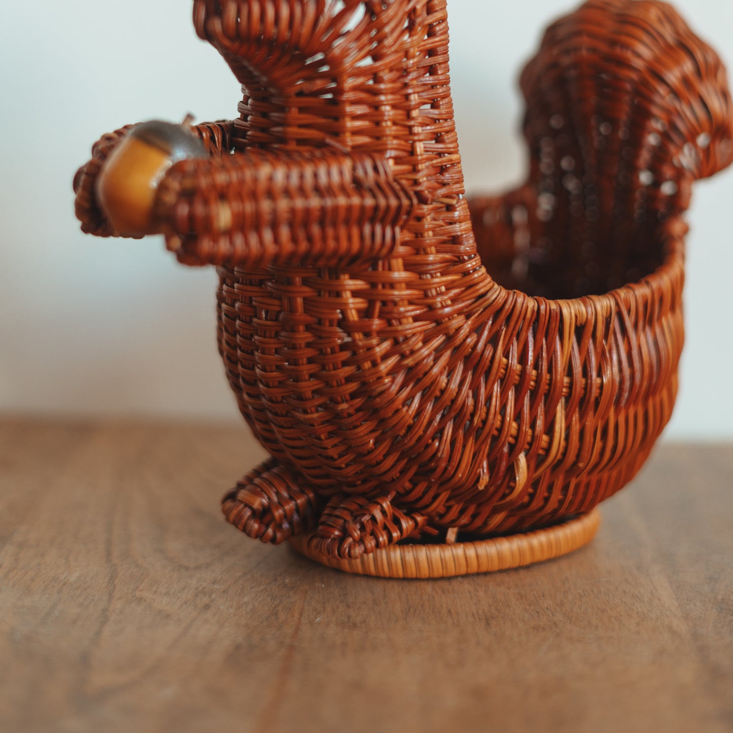 Squirrel with An Acorn Basket