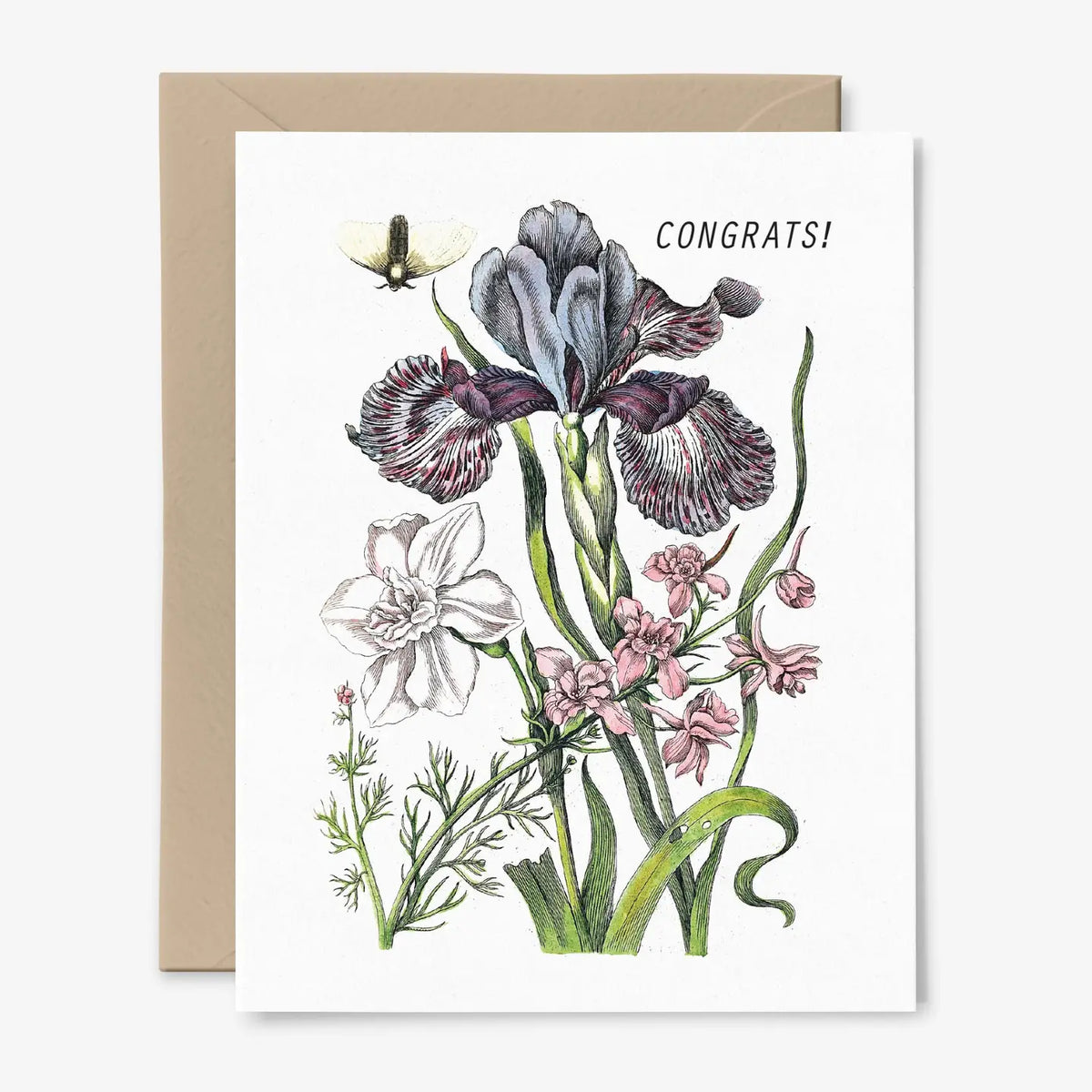 Hemlock House | Botanical Iris Congratulations Card