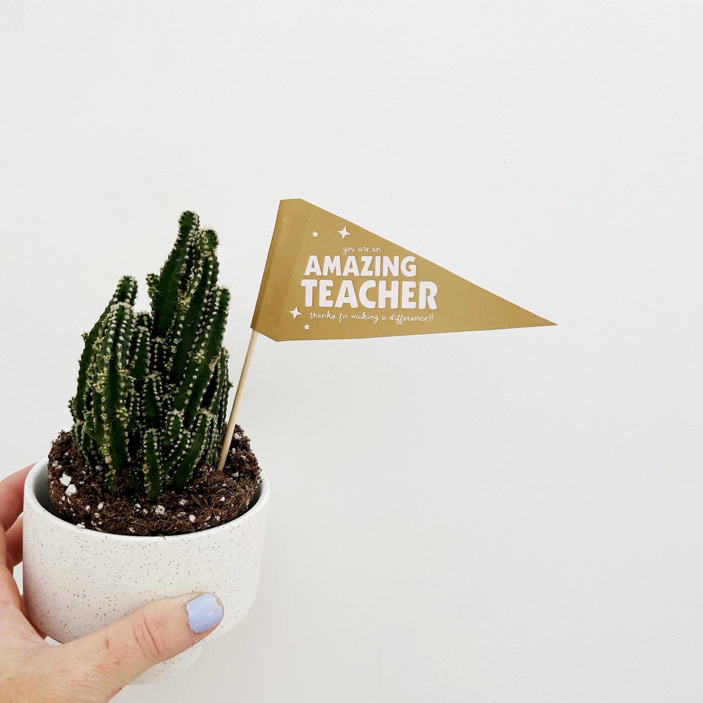 Handpicked Goods | Amazing Teacher Bundle