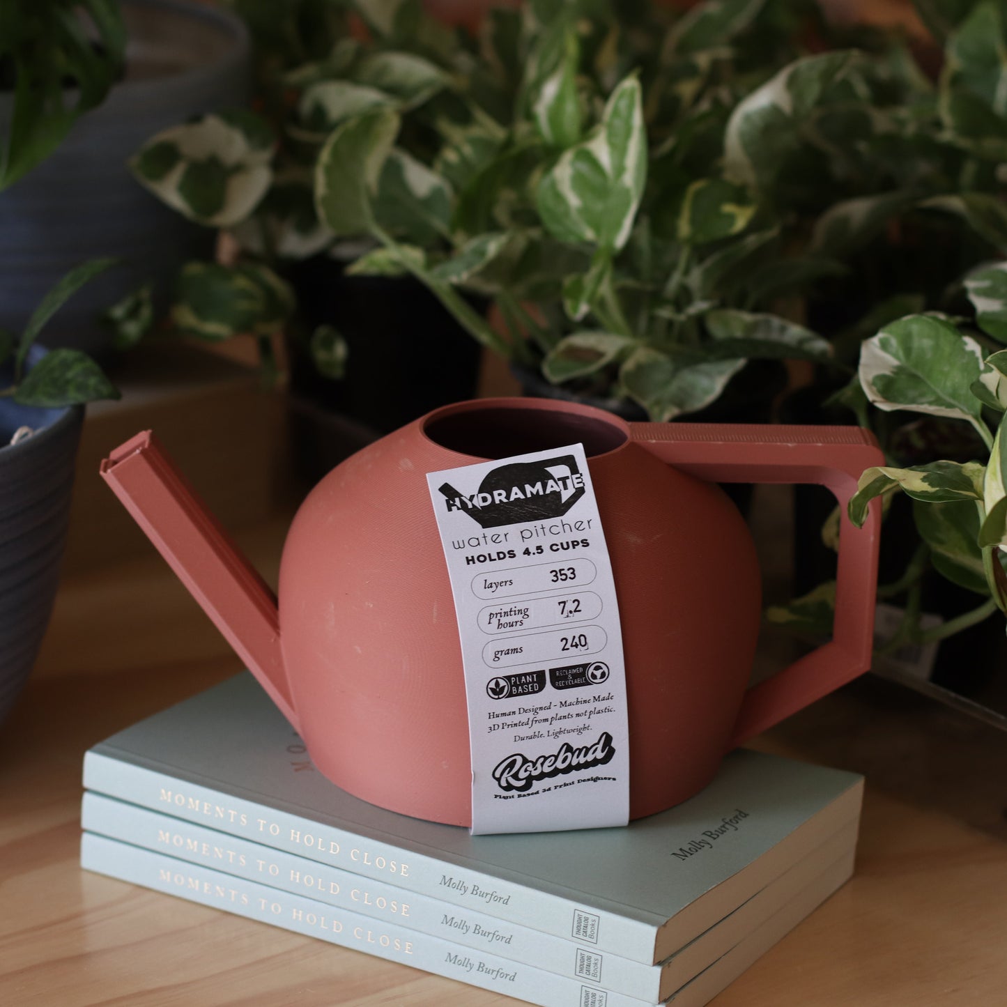 Rosebud | 3D Printed Watering Can, Terracotta