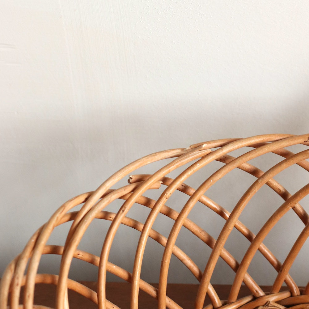 Catch All Basket with Two Handles