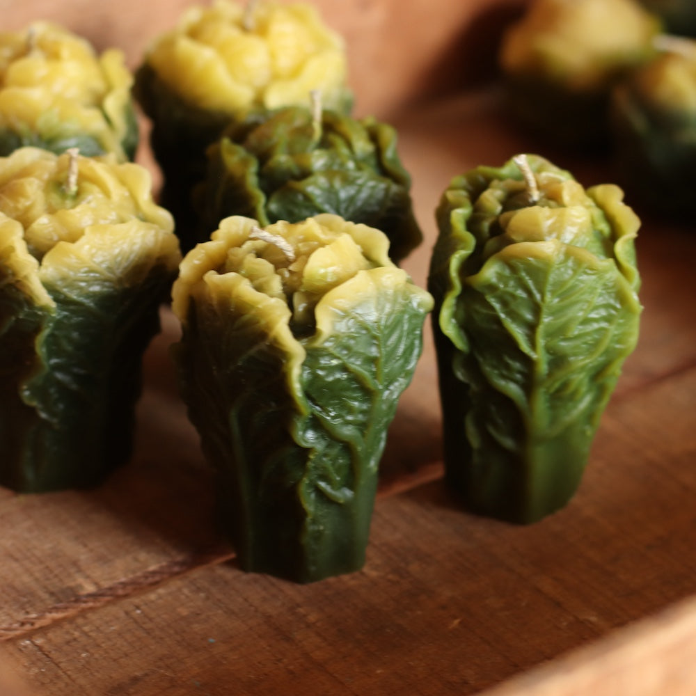 The Wax Pantry | Mini Romain Lettuce Bees Wax Candle