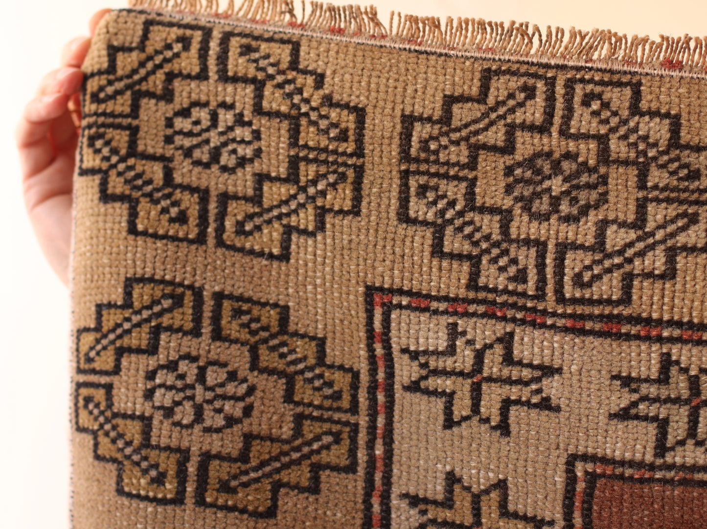 Turkish Rug | Soft Neutral with Boarder Details RUG003