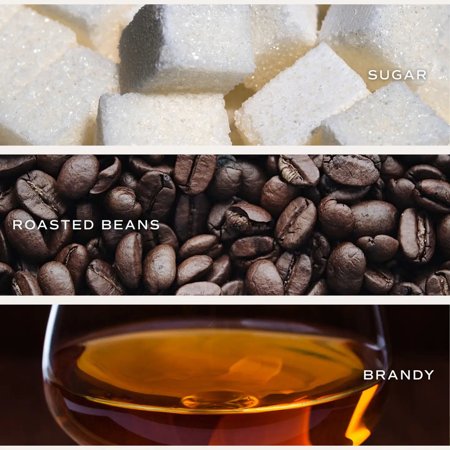 Sweet Water Decor | Fresh Coffee Candle