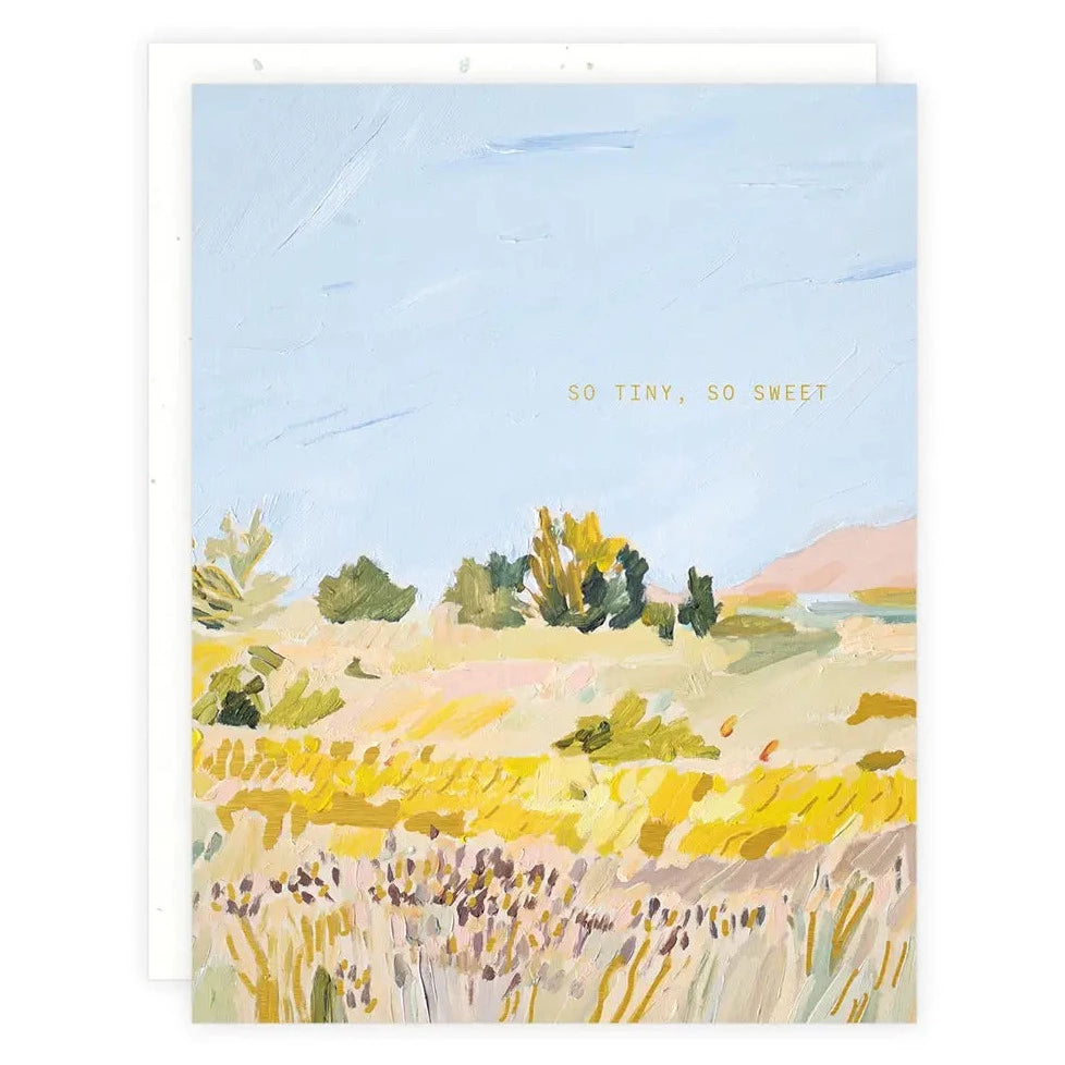 Someday Studio | Feathery Fields