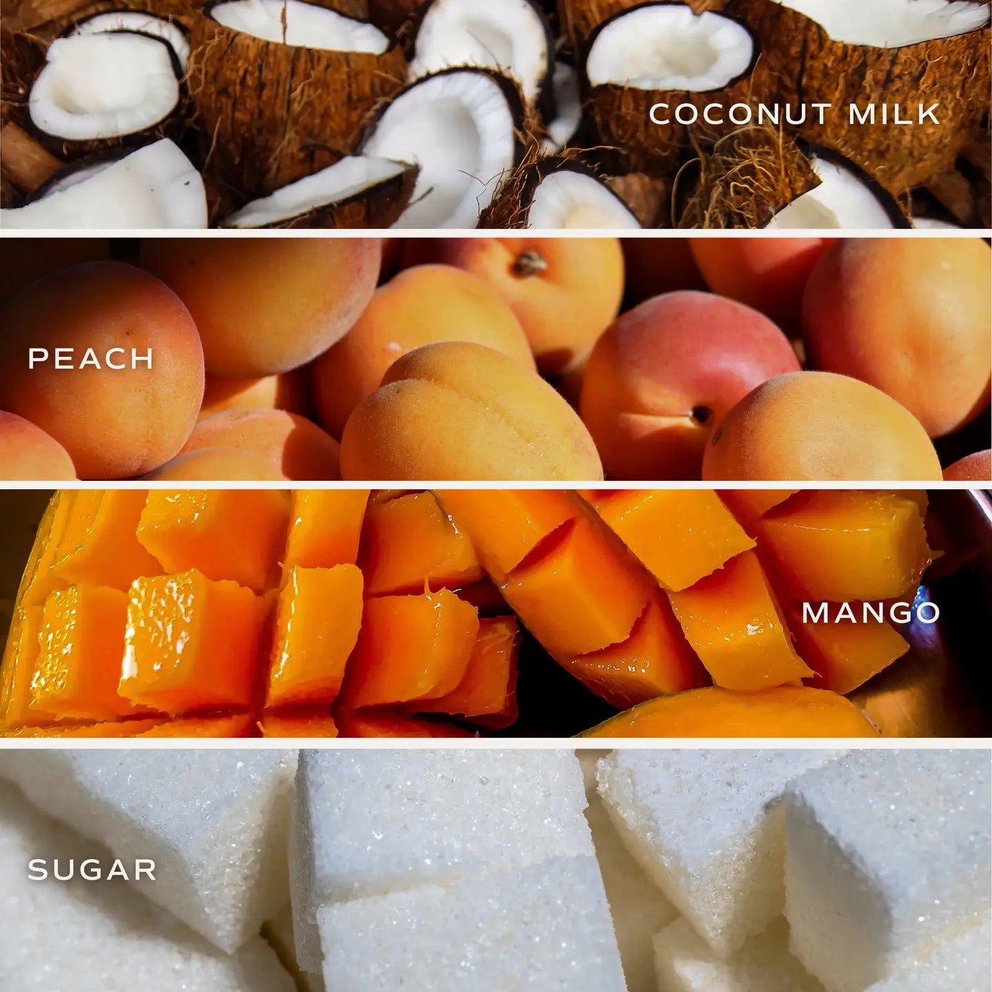 Sweet Water Decor | Mango & Coconut Candle
