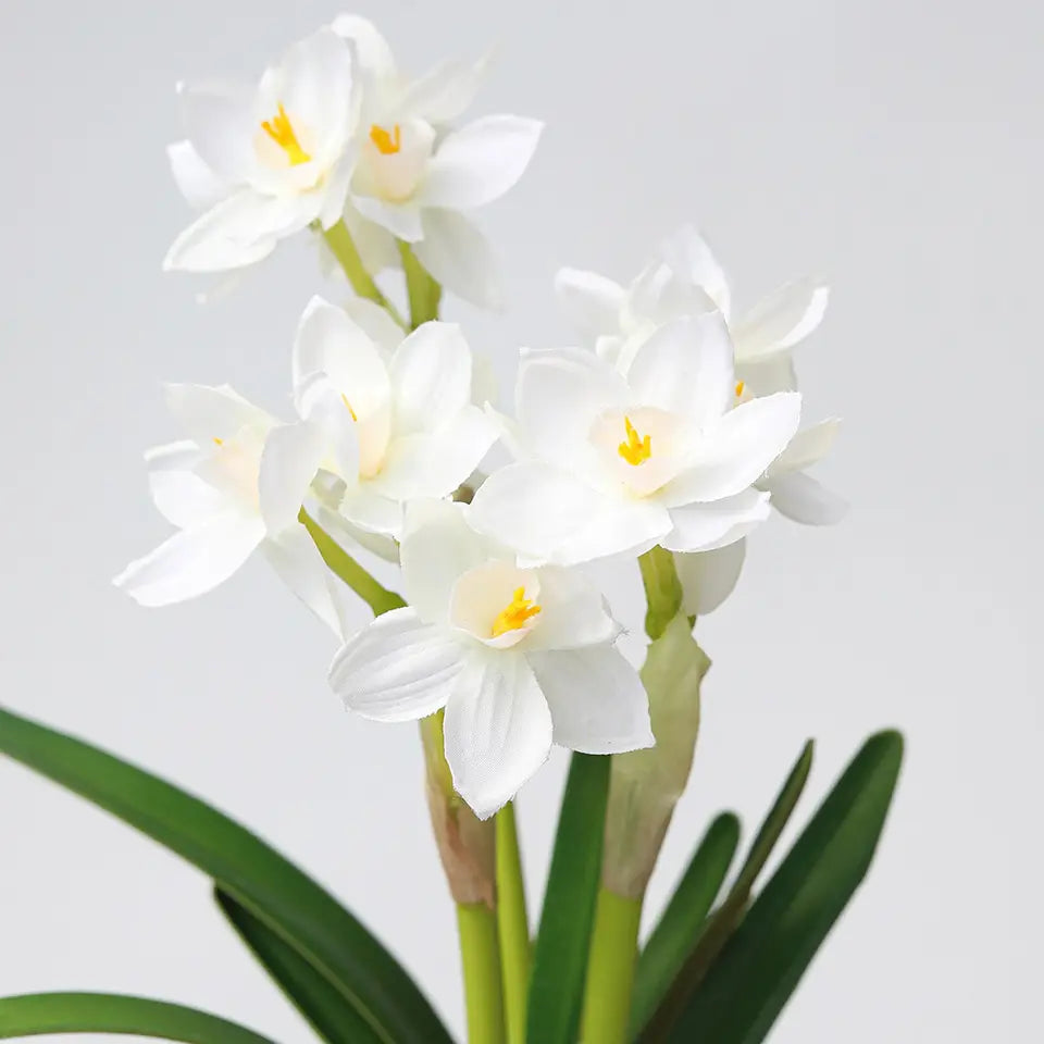 Holiday | Real Touch White Narcissus Flower