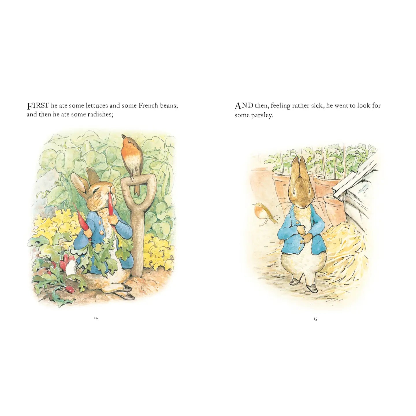 The Tale of Peter Rabbit