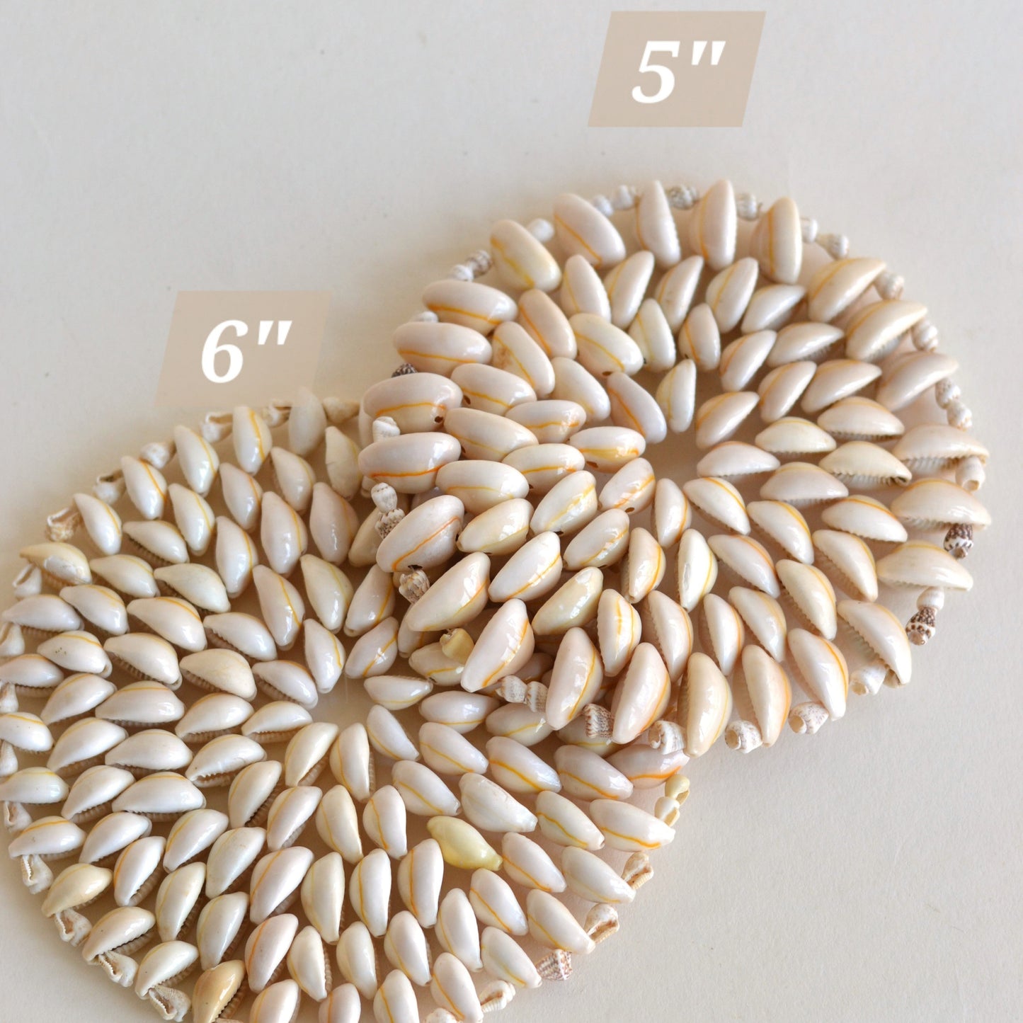 Cowrie Sea Shell Trivet