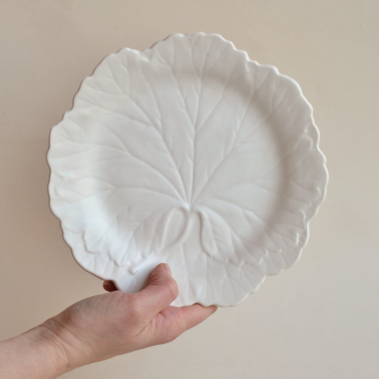 Matte White Leaf Decorative Wall Plate