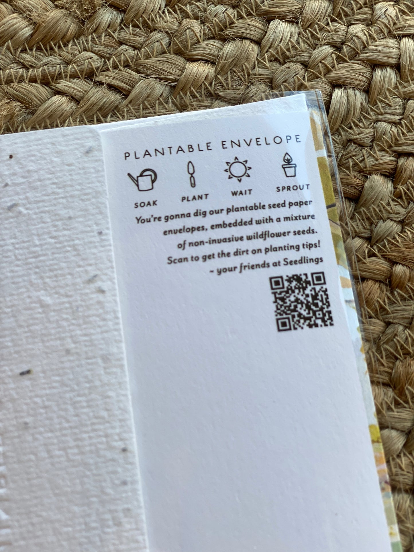Seedlings | Perspective - Encouragement Card