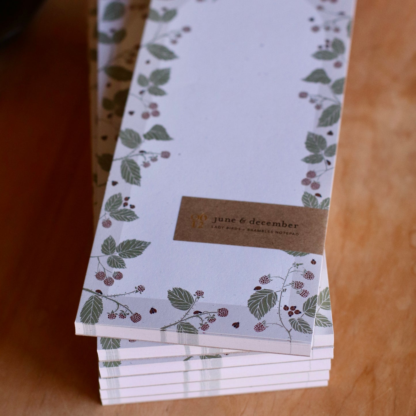 June & December | Notepad, Ladybird + Brambles
