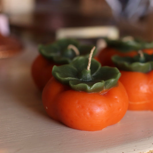 The Wax Pantry  | Persimmon