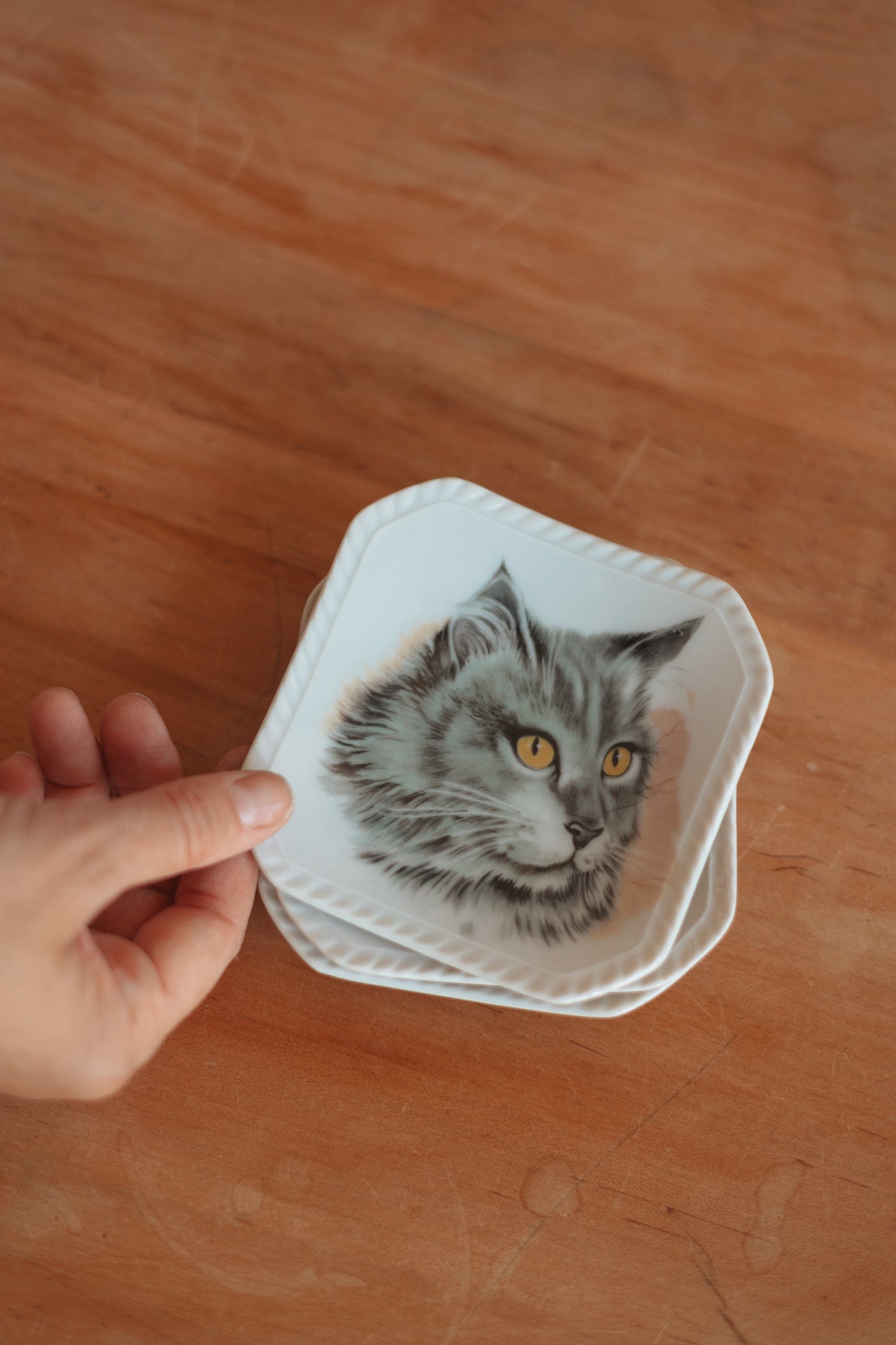 Cat Portrait Trinket Dish, assorted