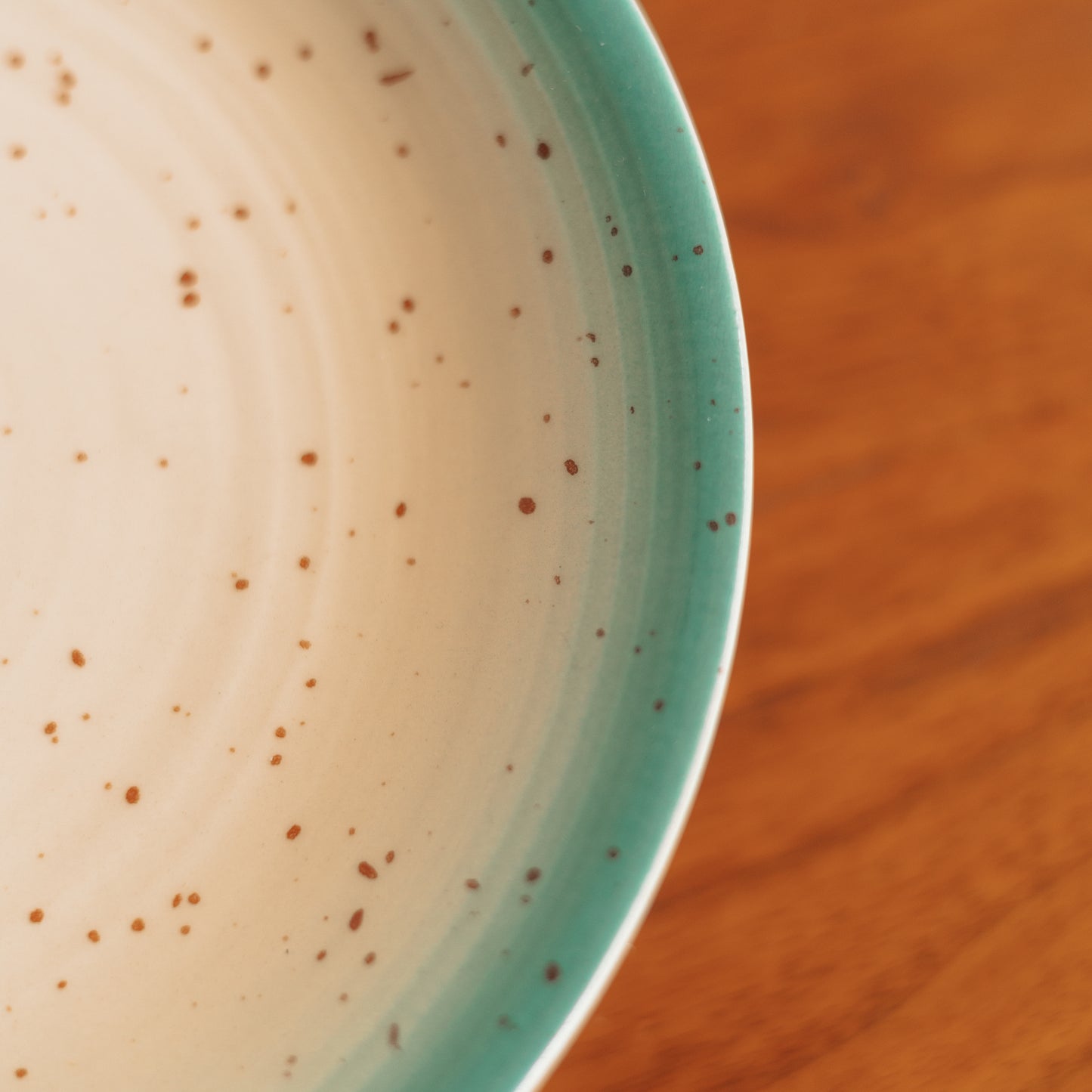 Speckled Salad Plate with Turquoise Rim, Set of 4