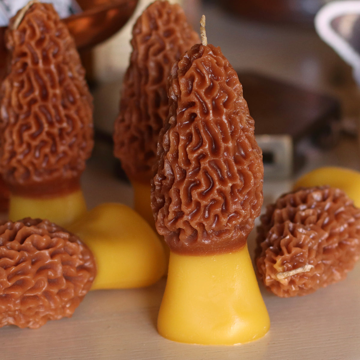 The Wax Pantry  | Morel Mushroom