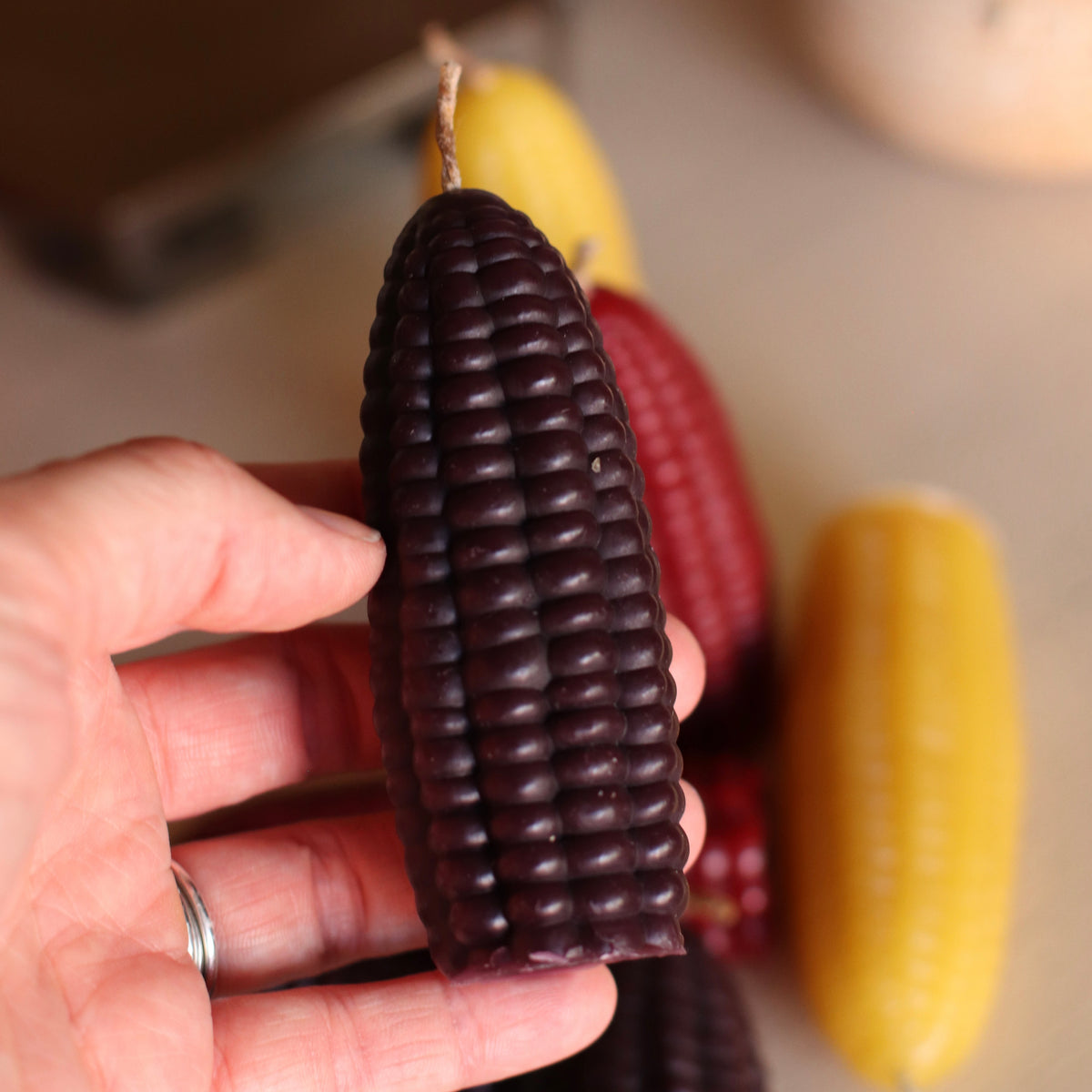 The Wax Pantry  | Jeweled Corn