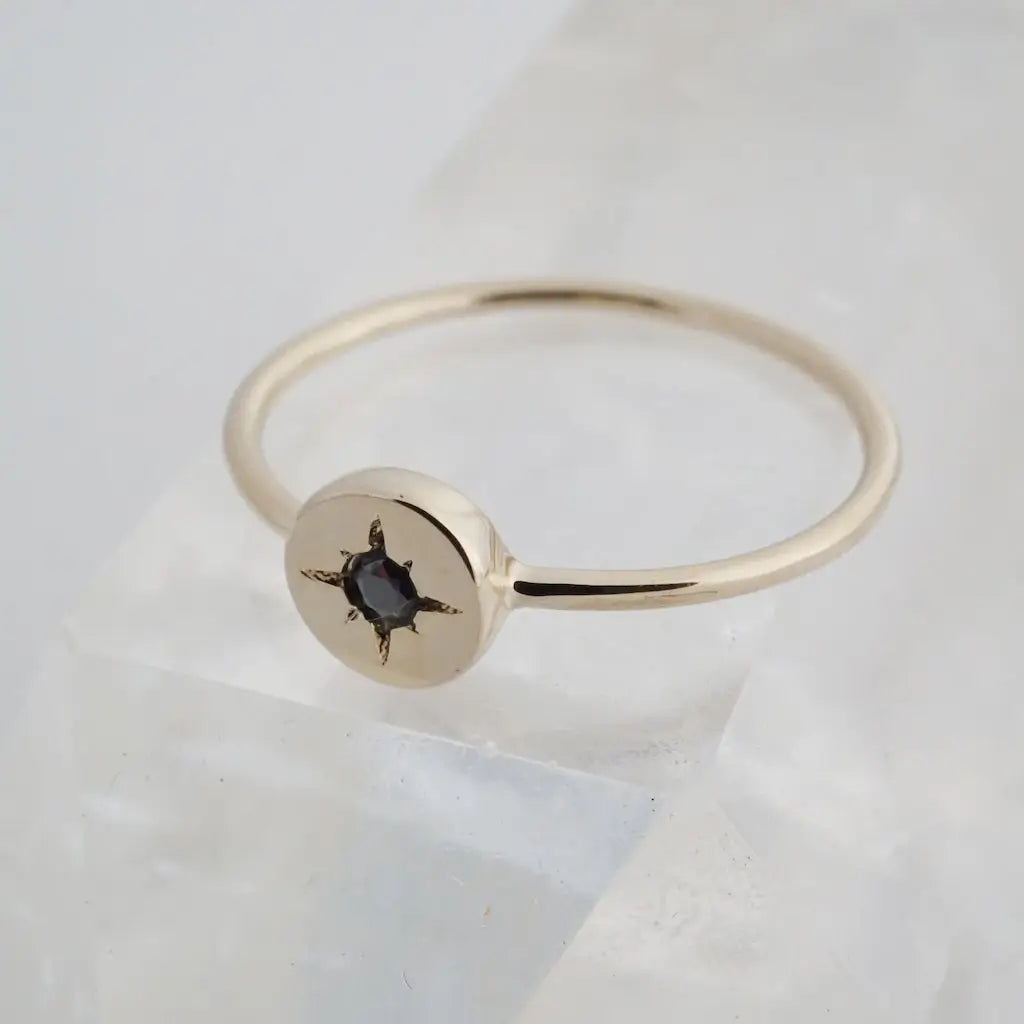 Honeycat Jewelry | Gold Compass Ring