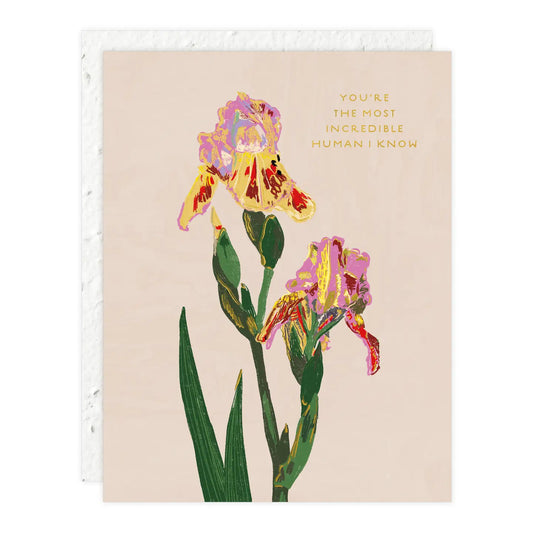 Seedlings | You’re the most Incredible person I Know