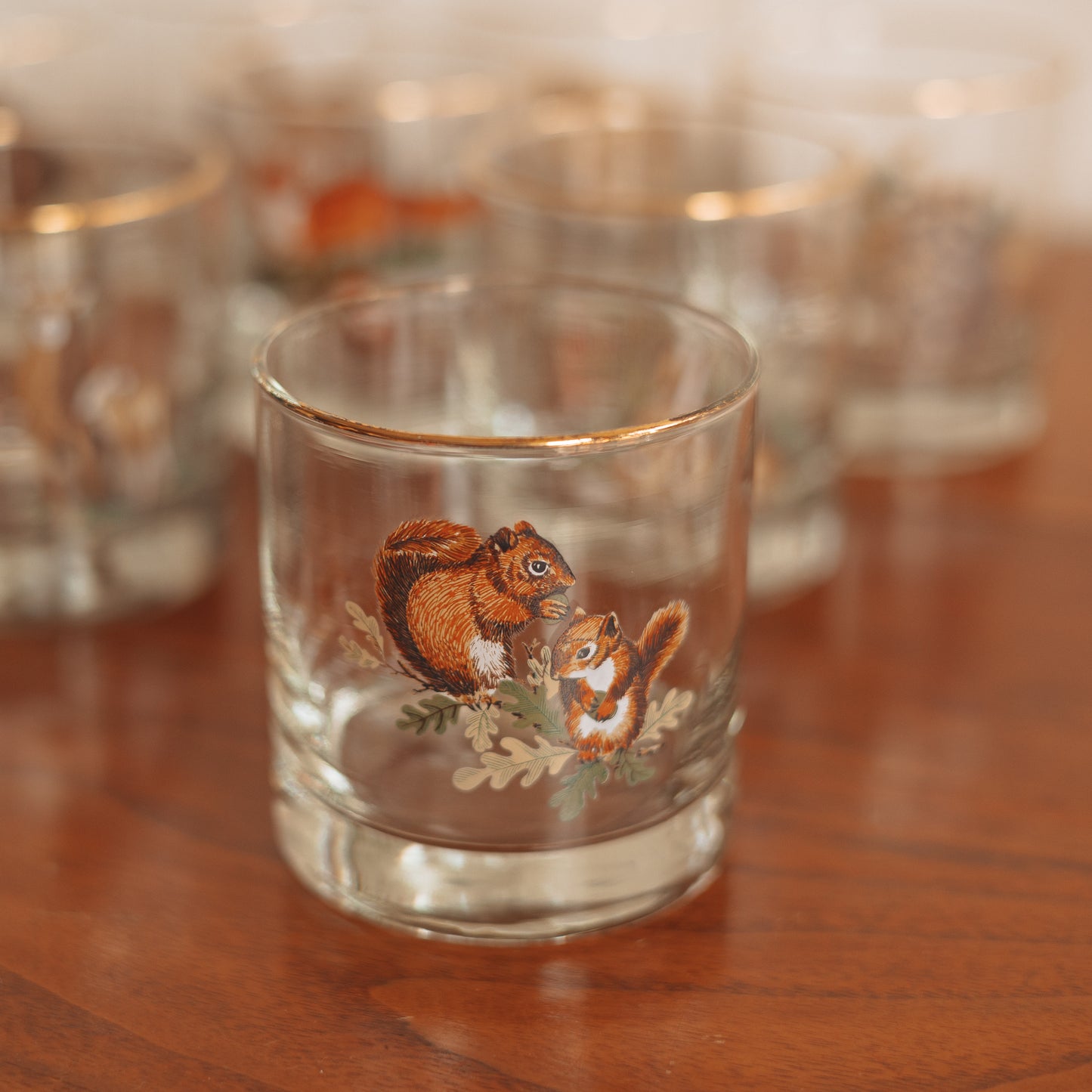 Vintage 'Wild Creatures' On the Rocks Glasses, Set of 8