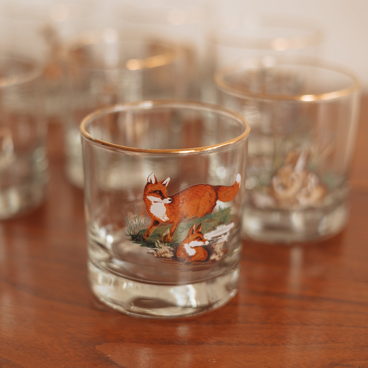 Vintage 'Wild Creatures' On the Rocks Glasses, Set of 8
