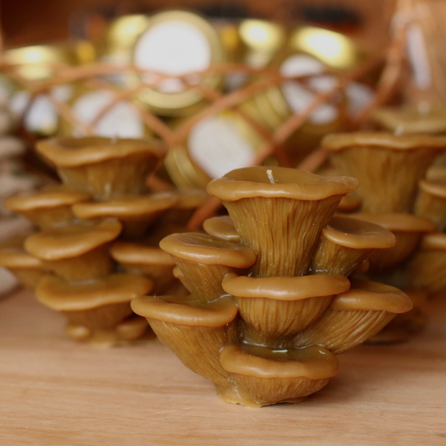 The Wax Pantry  | Oyster Mushrooms Beeswax Candle