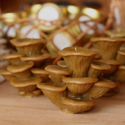 The Wax Pantry  | Oyster Mushrooms Beeswax Candle