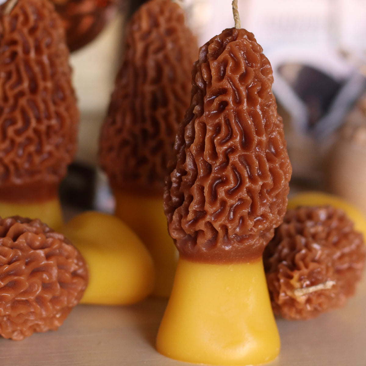 The Wax Pantry  | Morel Mushroom