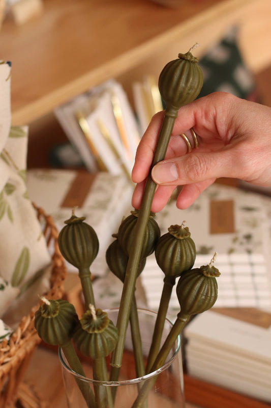 The Wax Pantry  | Poppy Seed Pods Beeswax Tapers