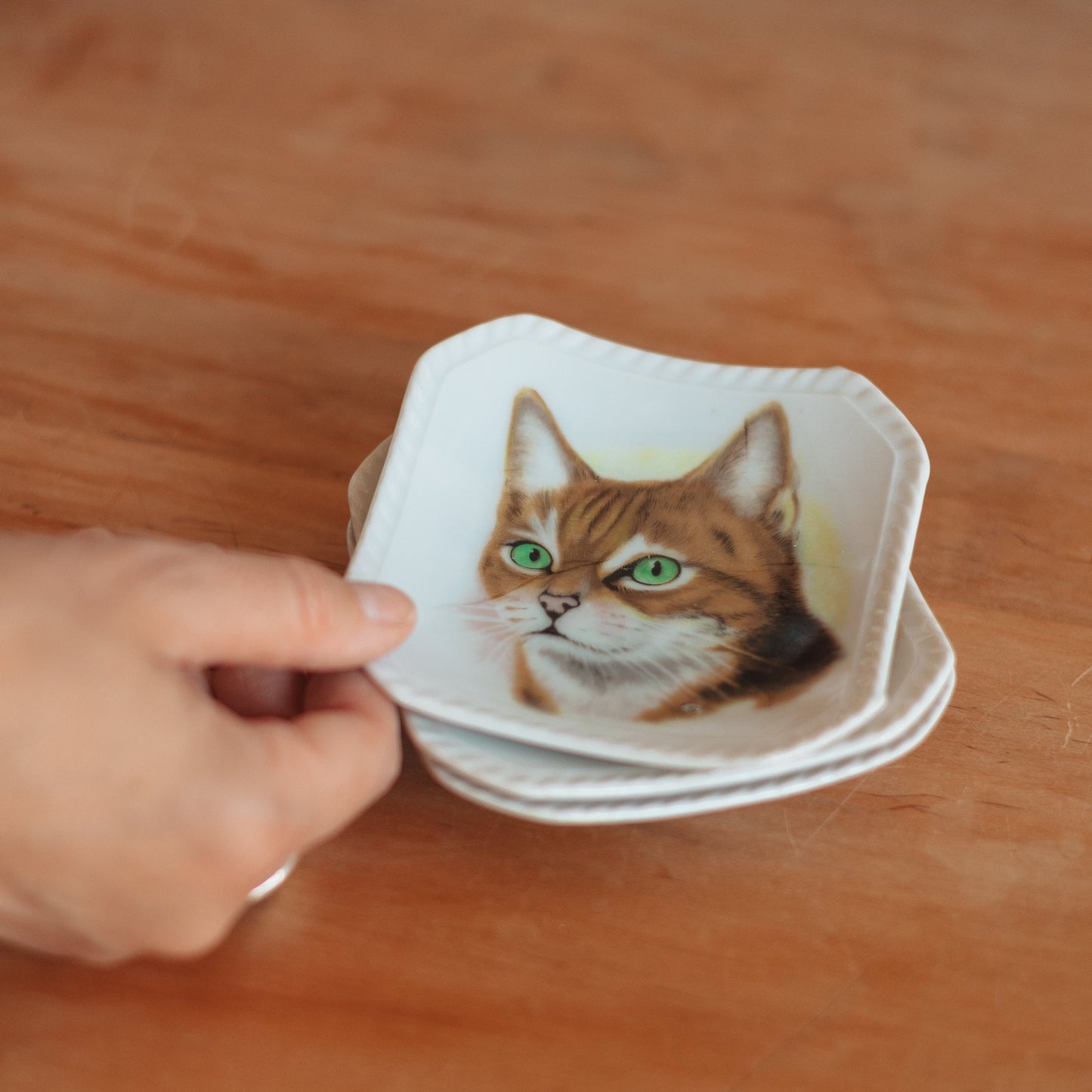 Cat Portrait Trinket Dish, assorted