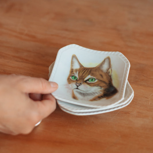 Cat Portrait Trinket Dish, assorted