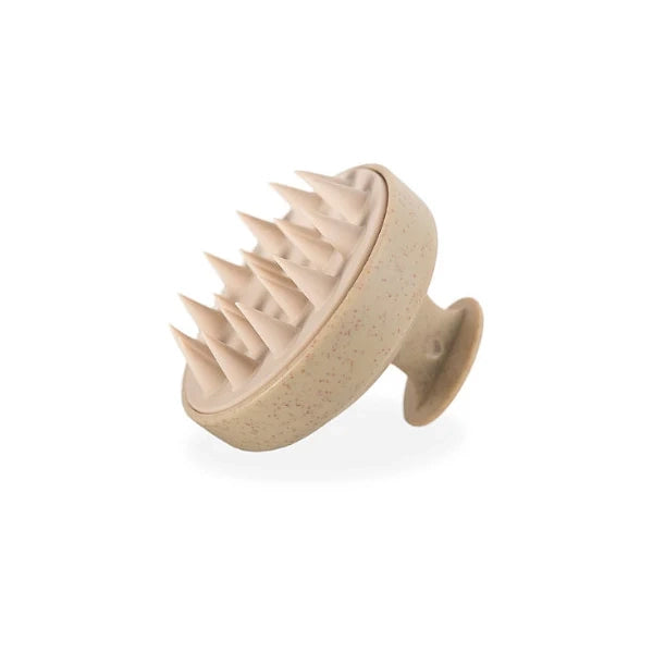 Birdbath | Shampoo Brush
