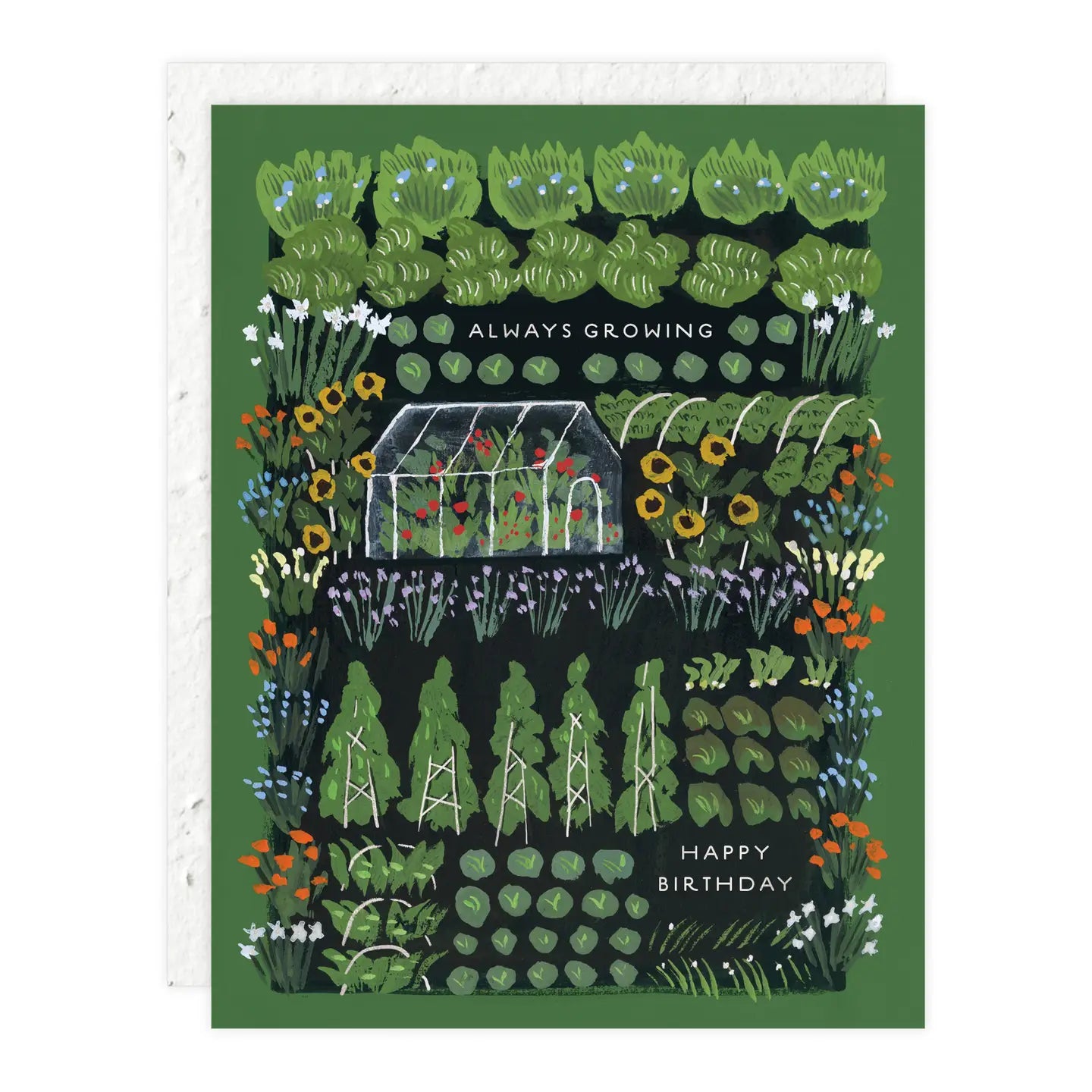 Seedlings | Always Growing, Birthday Card