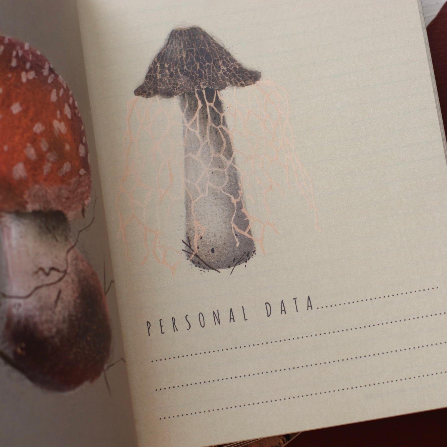 Dune Stationary | Gourmet Mushroom Notebook