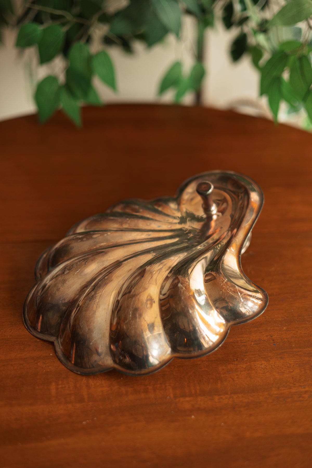 Clamshell Appetizer and Condiment Server