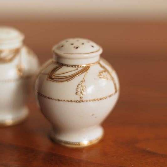 Nippon Hand Painted Salt and Pepper