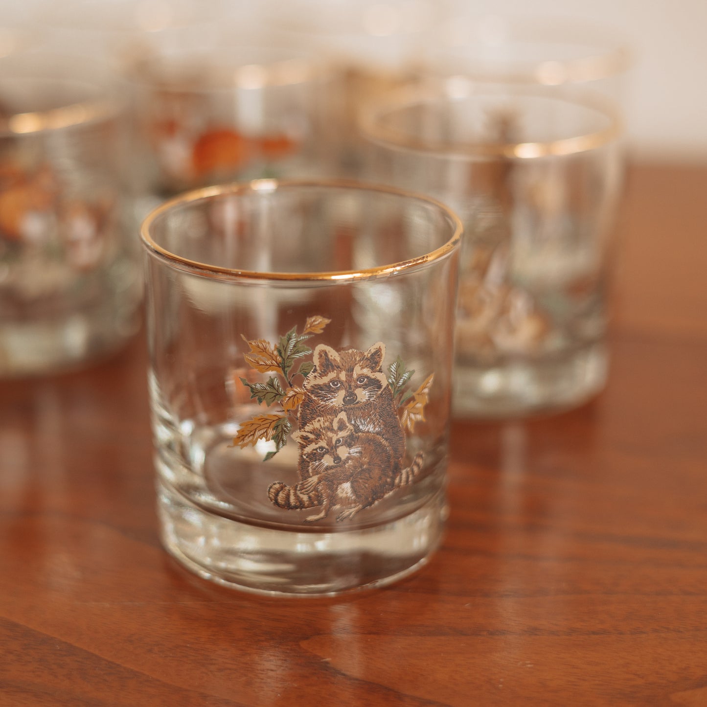 Vintage 'Wild Creatures' On the Rocks Glasses, Set of 8