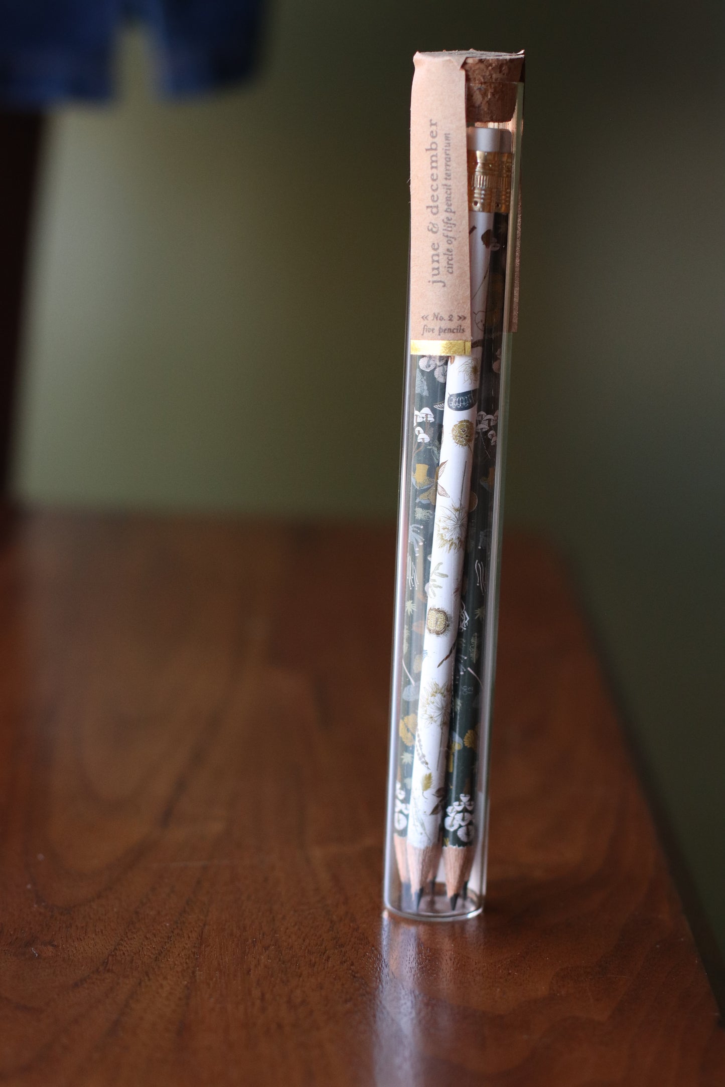 June & December | Pencil Terrarium, Circle Of Life