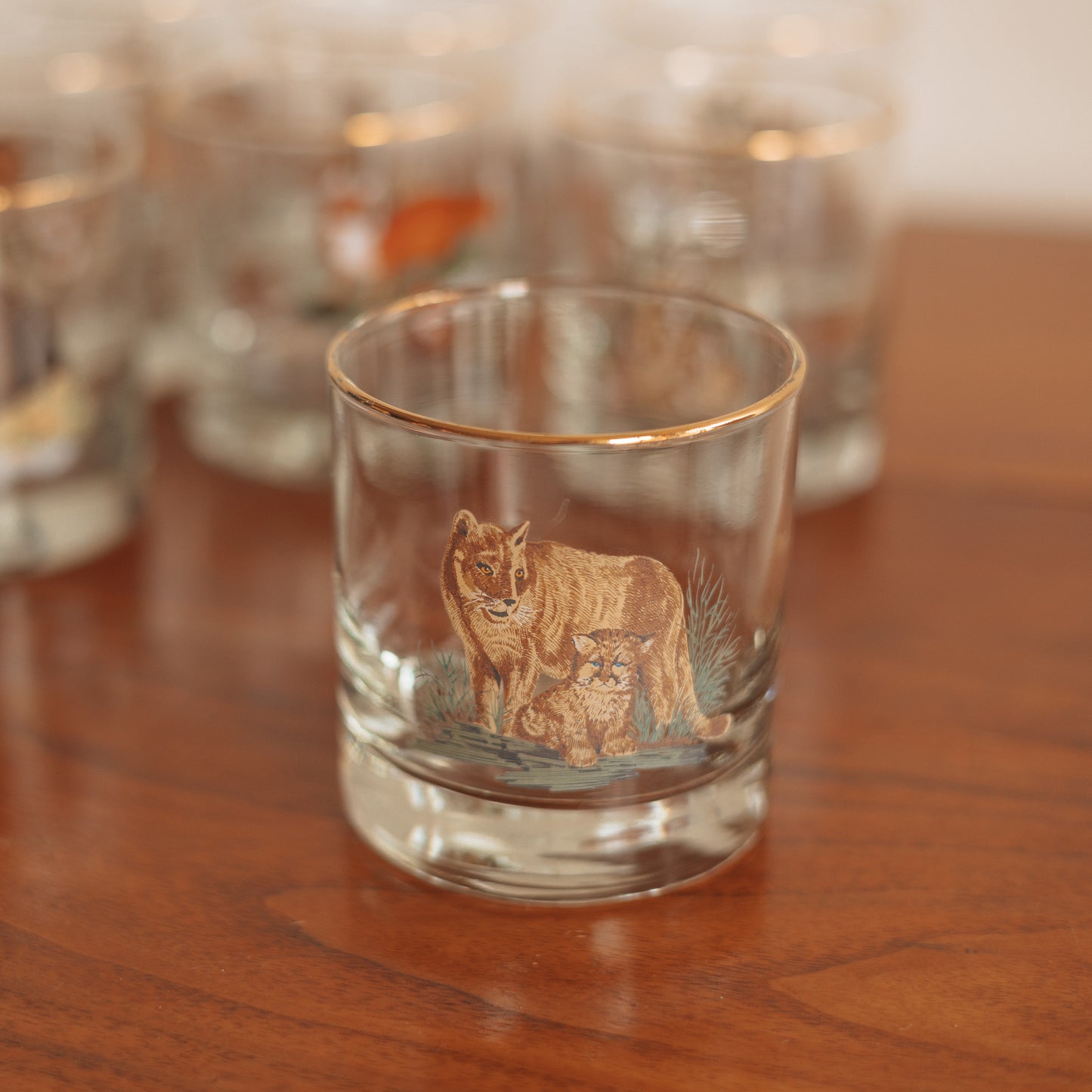 Vintage 'Wild Creatures' On the Rocks Glasses, Set of 8