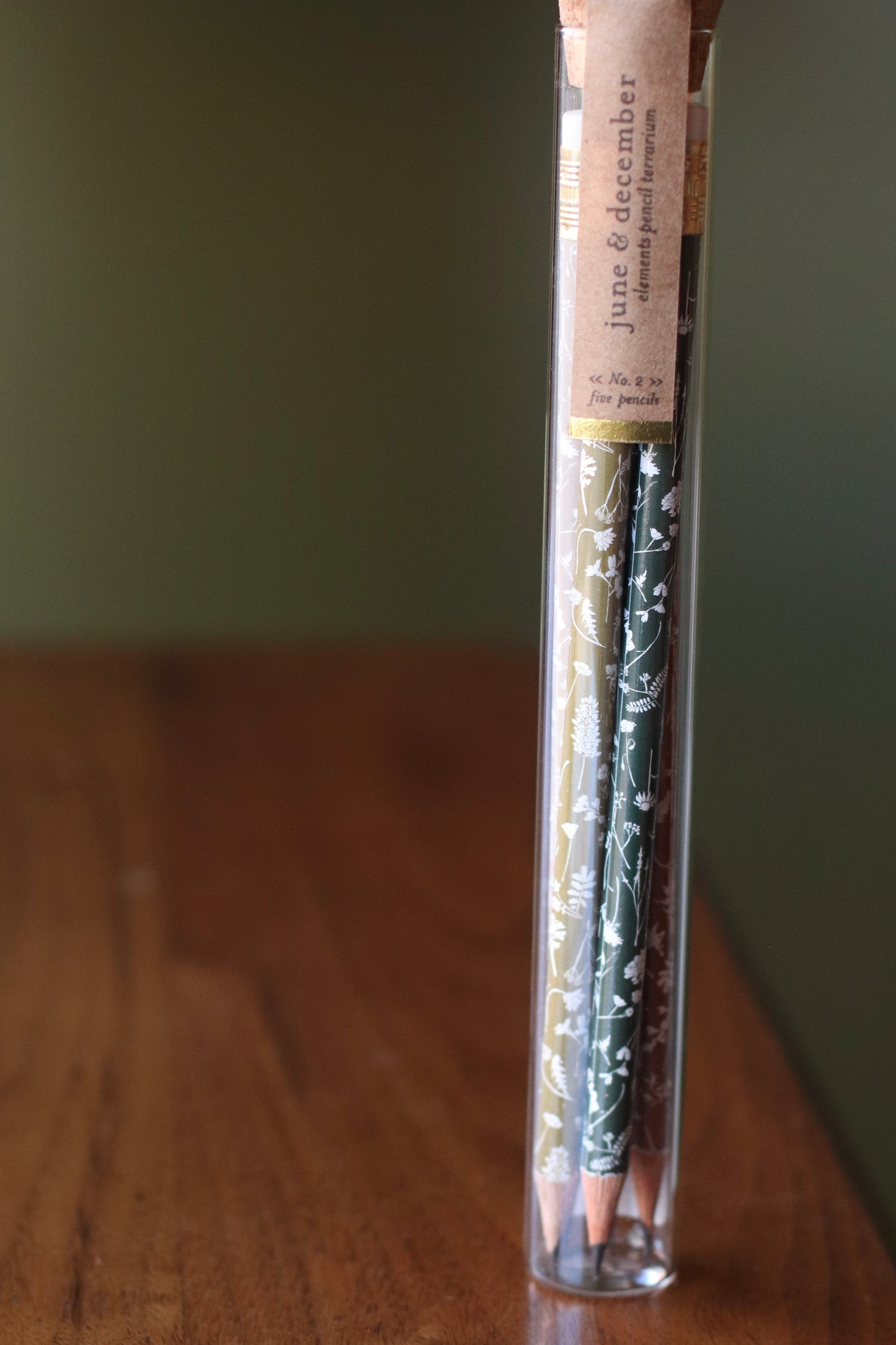 June & December | Pencil Terrarium, Elements