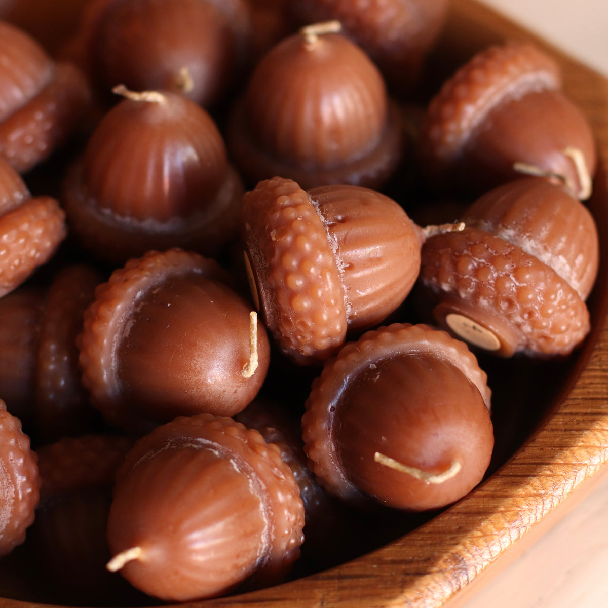 The Wax Pantry  | Acorn