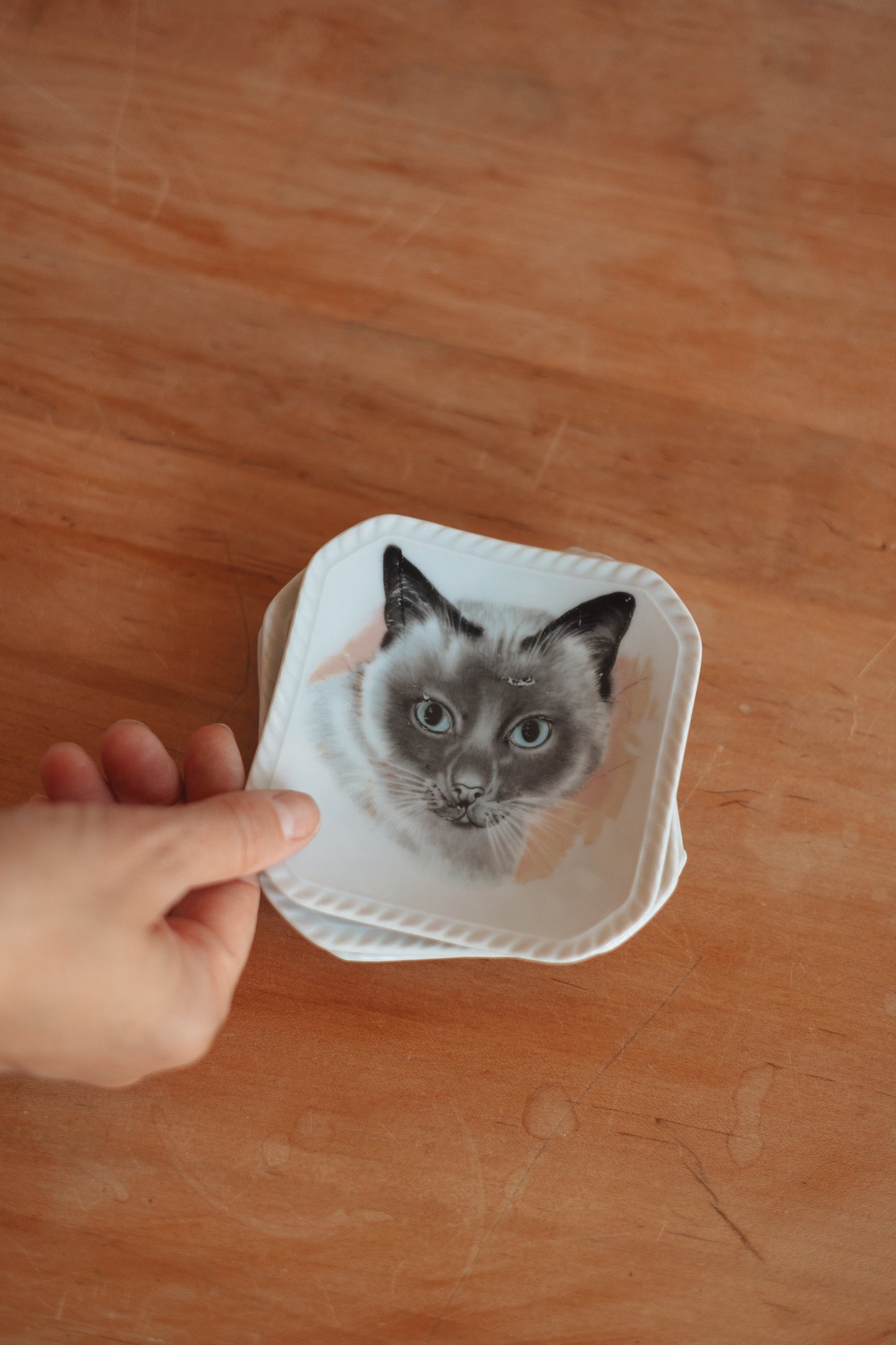 Cat Portrait Trinket Dish, assorted